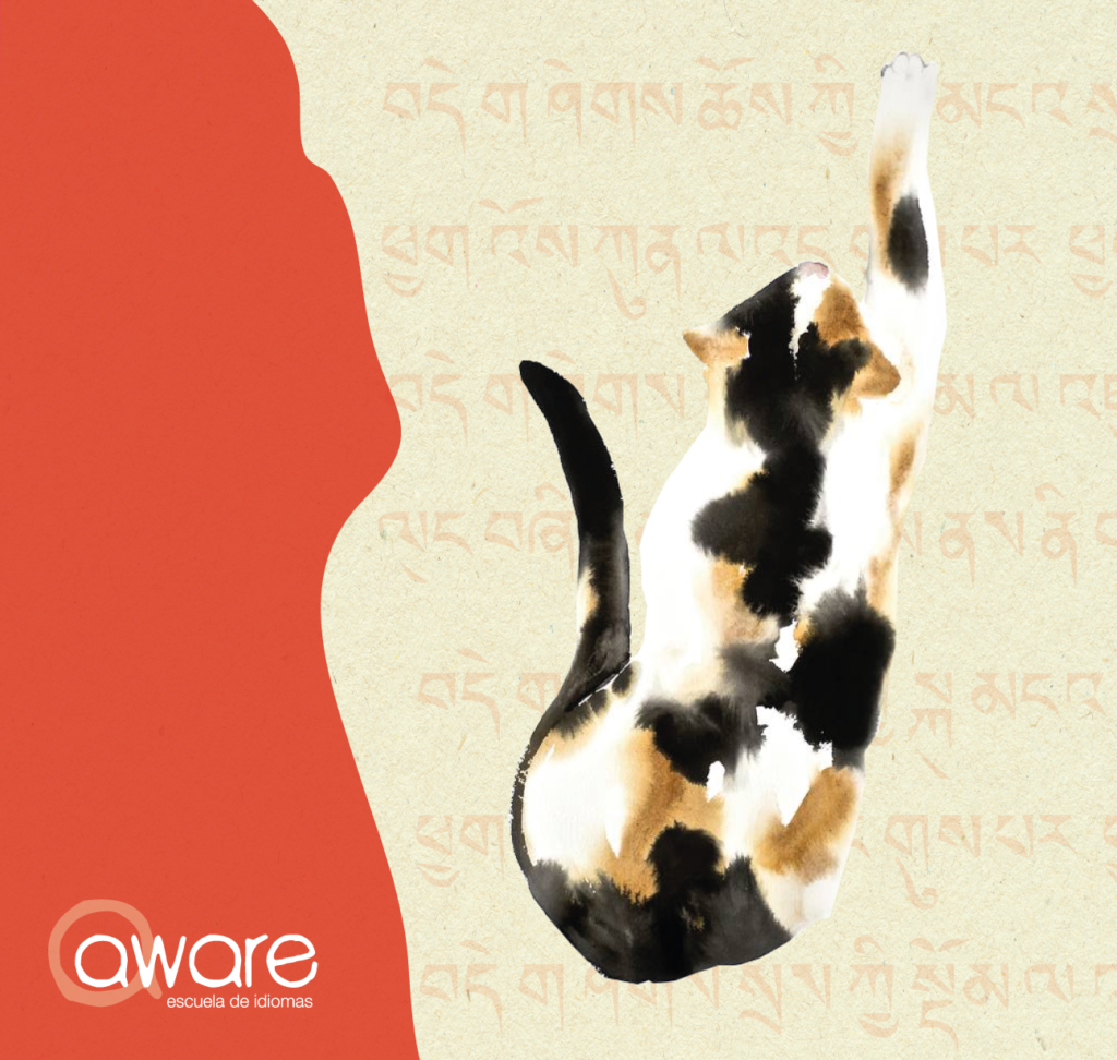 Vulgaridad petrolero gradualmente La leyenda de la gata tricolor – Aware – Escuela de Idiomas